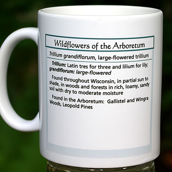 mug trillium large 8136.jpg